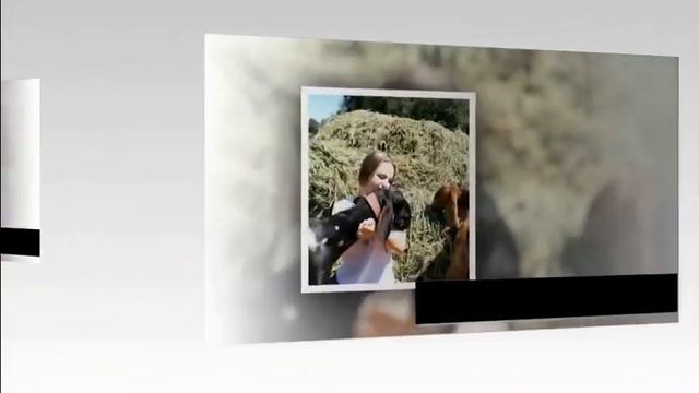 Молочное направление в козоводстве Казахстана смотреть онлайн