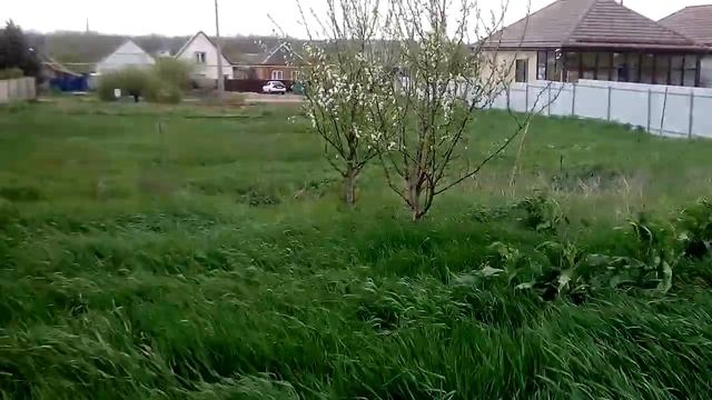 Земельный участок в ст.Выселки Краснодарского края смотреть онлайн