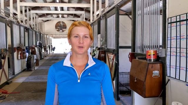 Hevoselämää Amerikassa -arkipäivä смотреть онлайн