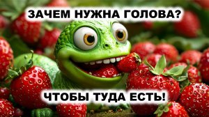 06.1. Как появилось восприятие?