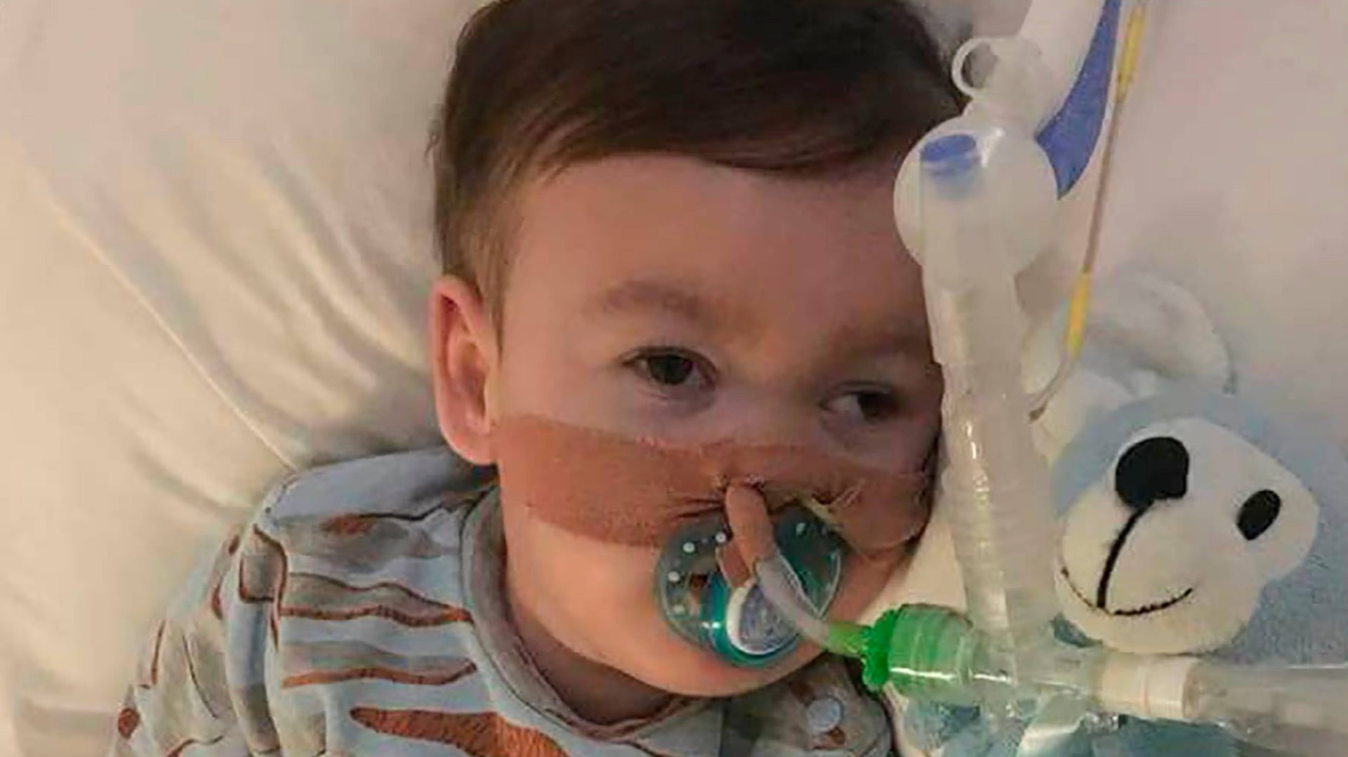 Маленький Гладиатор смотреть онлайн