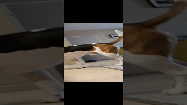 обзор на ауди р8