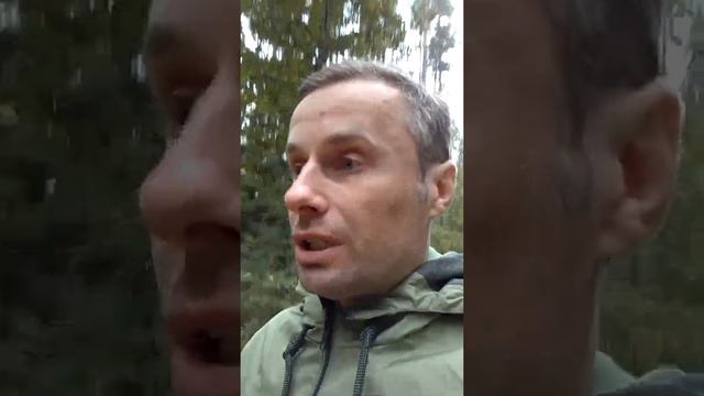 Выбор учебного заведения. Средние специальные учебные заведения. Личное мнение. смотреть онлайн