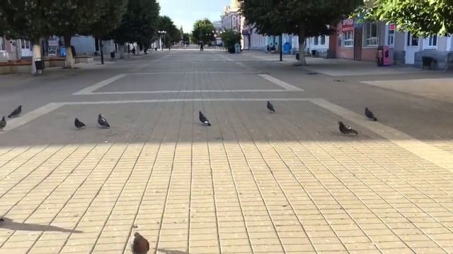 Солнечный Елец смотреть онлайн