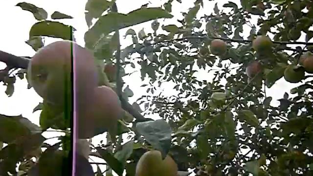 ПРОДАЁТСЯ ДОМ БЛАГОУСТР120 КВМ НЕБОЛЬШОЙ ОБЗОРЧИК ПОСАДОК.... смотреть онлайн