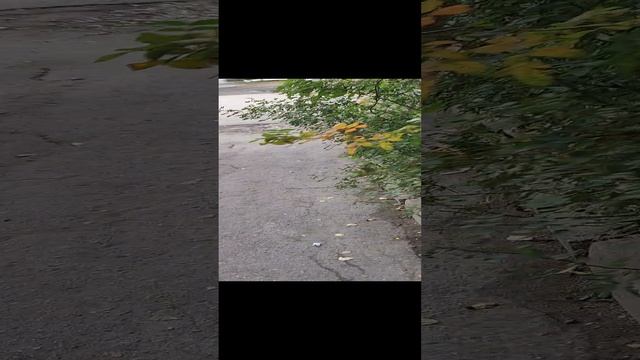 ДОМ АЙГУЛЬ. ЯРОСЛАВЛЬ. СЛОВО ПАЦАНА. смотреть онлайн