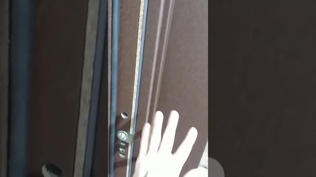 Термо дверь REVER Optima model BROWN смотреть онлайн