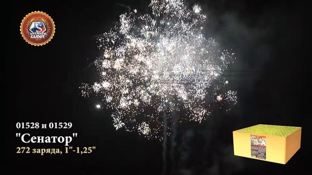 01528-01529 Сенатор Фейерверк 272 залпа, 1"-1.2" дюйма смотреть онлайн