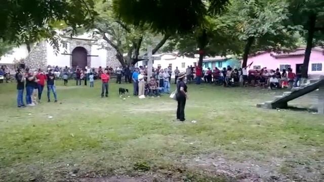 CONTINUAN LAS ACTIVIDADES POLÍTICAS DEL DIPUTADO RONALD PANCHAME Y OSCAR MARQUEZ смотреть онлайн