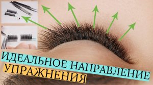 НАРАЩИВАНИЕ РЕСНИЦ ОБУЧЕНИЕ.  ТРЕНИРОВКА НАПРАВЛЕНИЯ.