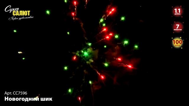 СС7596_2024 смотреть онлайн