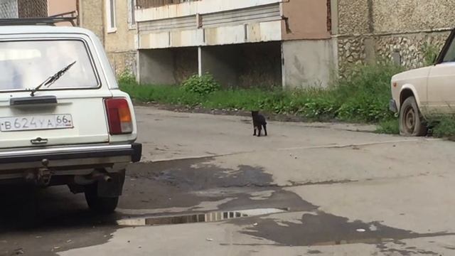 Любители халявы смотреть онлайн