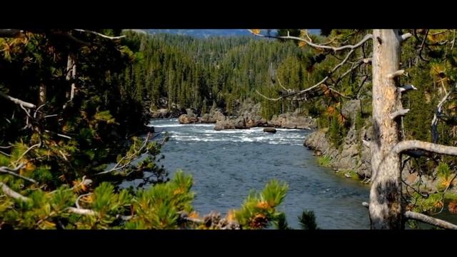 Затмение в США смотреть онлайн