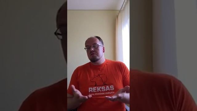 Kaip išspręsti mažų šunų keliamas problemas смотреть онлайн