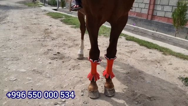 Ноокат Центрден Улагы Таамай Ат ШУМ бала ИСЛОМдан смотреть онлайн