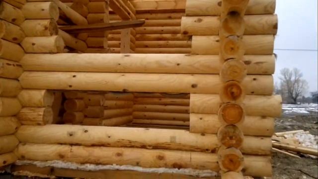 Строительство деревянного дома смотреть онлайн