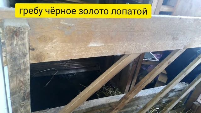 Будни директора ЛПХ смотреть онлайн