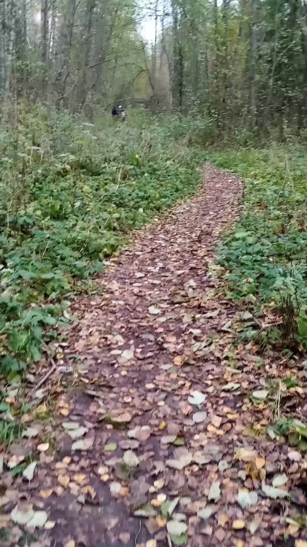 Закрытие сезон дачи смотреть онлайн