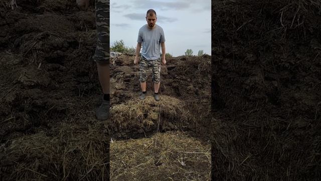 #угар #love #вайны #пранк смотреть онлайн