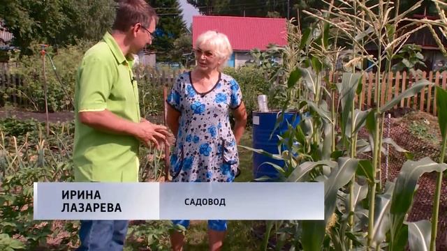 20190724 КОНСУЛЬТАНТ САДОВОДА смотреть онлайн