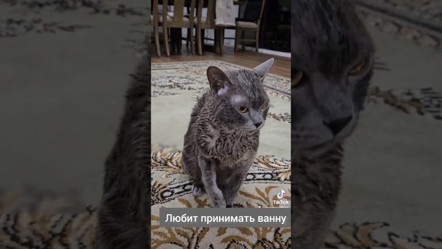 Принять ванну, выпить чашечку кофэ #здесьисейчас смотреть онлайн