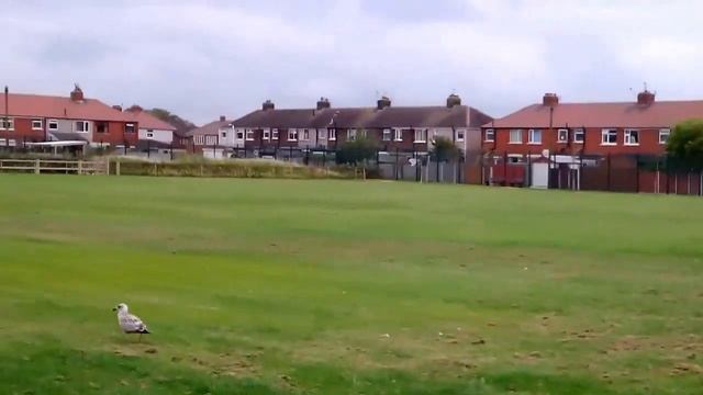 Обучение в Англии. Обзор британской школы смотреть онлайн