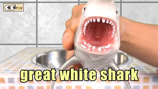 [EN] Sharks live under the wash basin 5, kids animals animation, dinosaurs adventureㅣCoCosToy смотреть онлайн