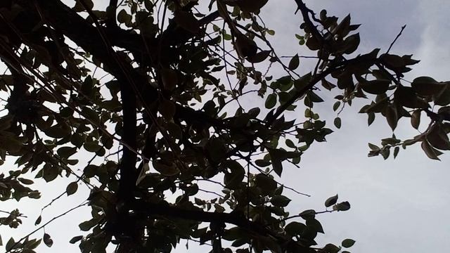 20241002_102319.mp4 смотреть онлайн