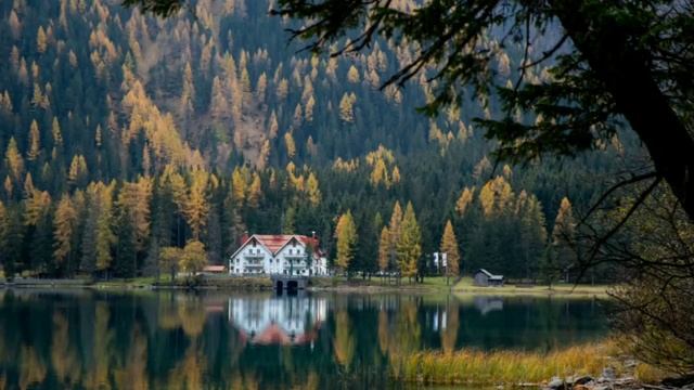 Main 13 Saal Ki Thi Jab Jinzaday Kay Bachay Ki Maa Bani || Urdu Kahani || Kahani in Hindi & Urdu смотреть онлайн