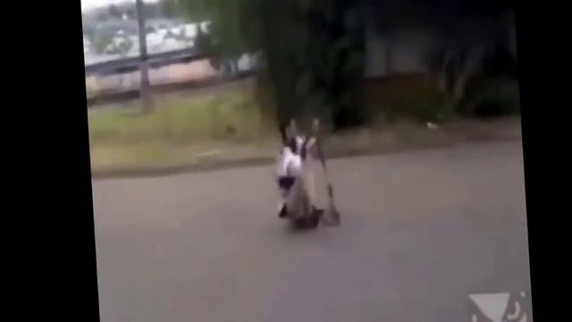 подборка приколов) смотреть онлайн