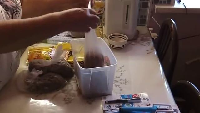 Мы в пиццерии /// Свитера- продвижения и примерка./// смотреть онлайн