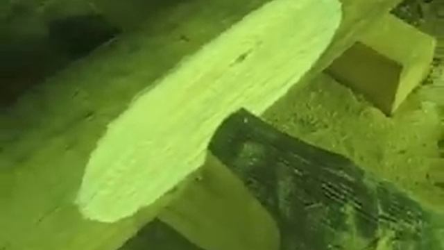 Канадская чаша. смотреть онлайн