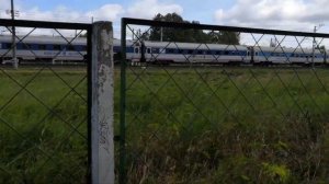 Скоростной поезд Невский экспресс