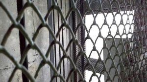 Закрыто решётка для лифта