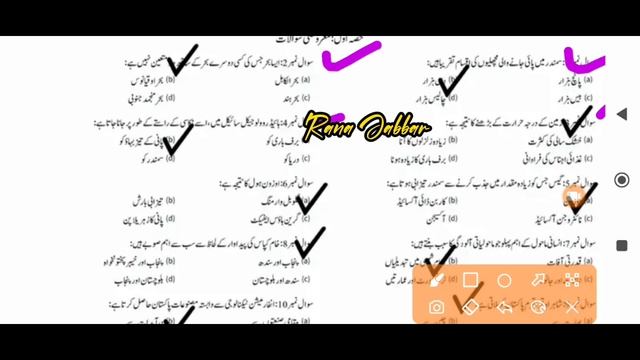 8th Class History Geography Original Subjective Objective Paper 2024 | 8th Class Final Term Paper смотреть онлайн