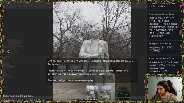 Дерево стрим 38 смотреть онлайн