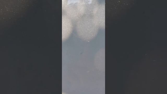 CHERY TIGGO 4 белая. Часть 3 из 3. Точечная подкраска дефекта двери смотреть онлайн