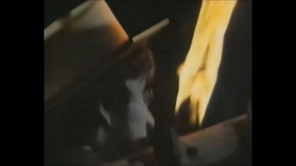 Valerie And Her Week Of Wonders