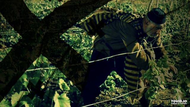 Булат Окуджава Виноградную косточку в теплую землю зарою смотреть онлайн