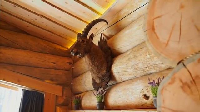 Karelia chalet смотреть онлайн