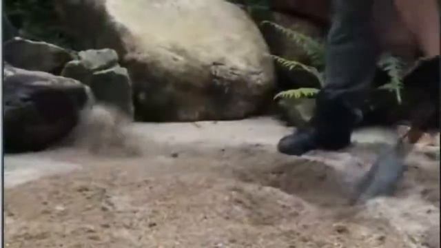 Мультифункциональная лопата Xiaomi Nextool Shovel Small