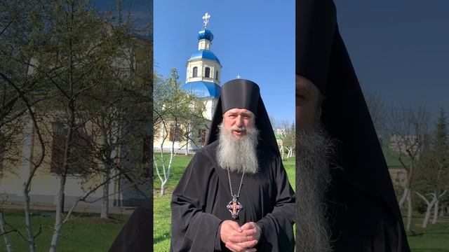 Приглашение в гимназию Радонеж смотреть онлайн