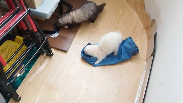 бесюны после ванны смотреть онлайн