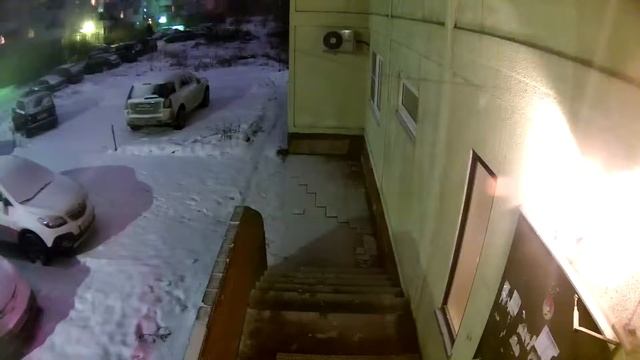 Вор пытался зайти в подъезд 16 дома на ул Широкая смотреть онлайн