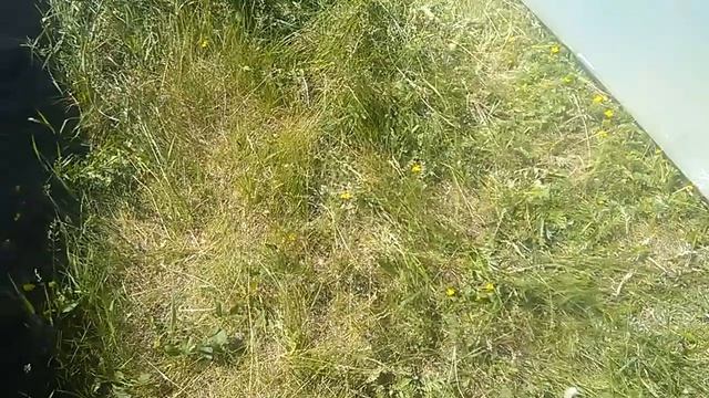 Куриный трактор за 1500 рублей, самый простой курятник смотреть онлайн