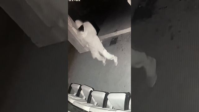 Ну а что еще делать?😂 Хочешь скидку на страшный квест? Тогда смотри в описание и подписывайся смотреть онлайн