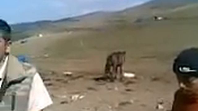 MUGAM MUSABIQESI 2012 ILHAM .mp4 смотреть онлайн