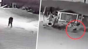 Камера наблюдения зафиксировала момент, когда собака начала менять форму