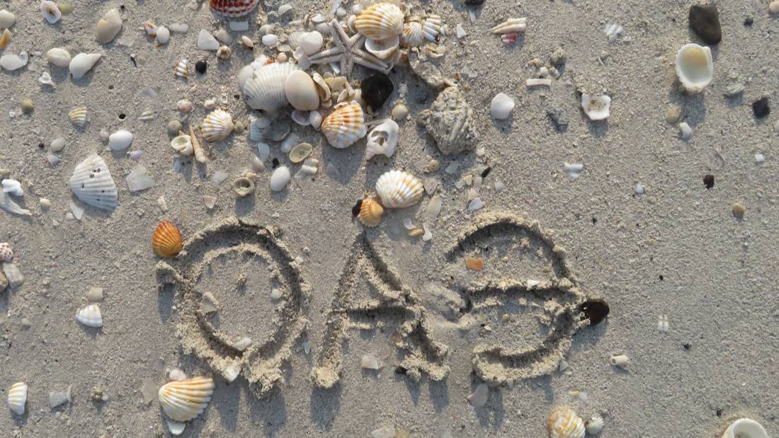 ОАЭ Прогулки по Дубаю