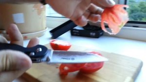 Нож Ganzo G727M. Обзор